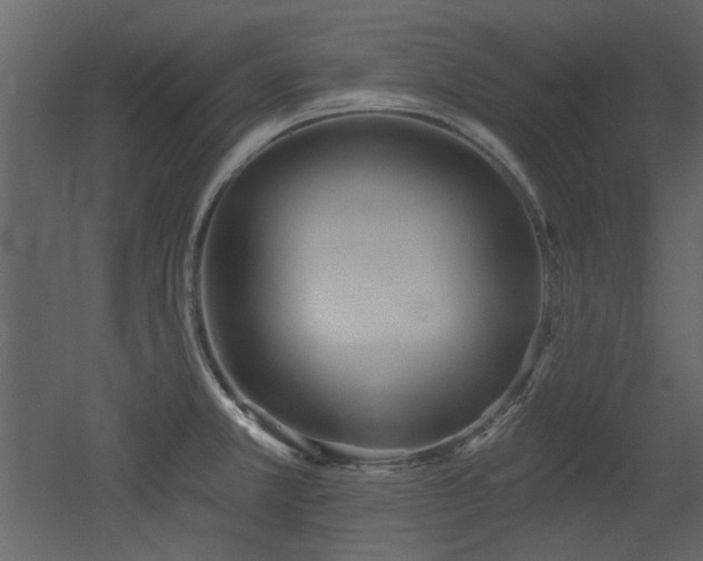 X0000053001381200507081222