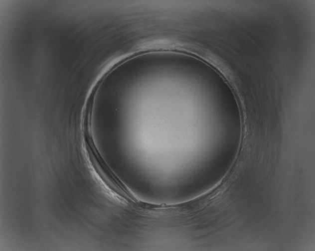 X0000053001392200507081222