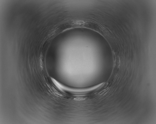 X0000053001394200507081221