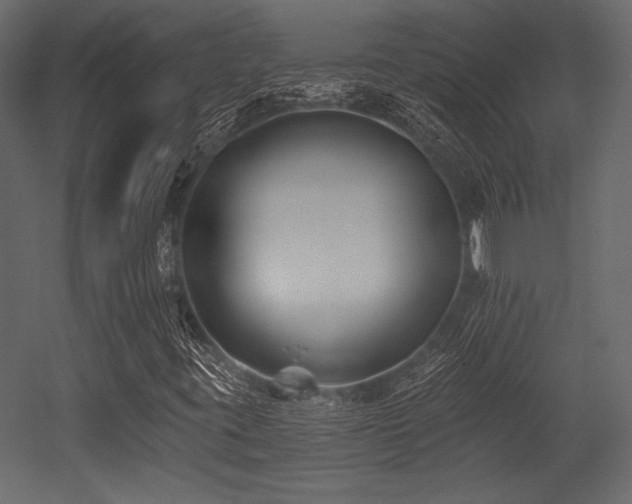 X0000053001395200507081221