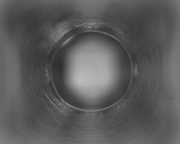 X0000053001396200507081221