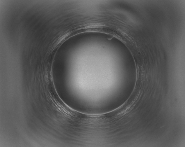 X0000053001401200507081221