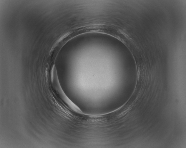 X0000053001402200507081221