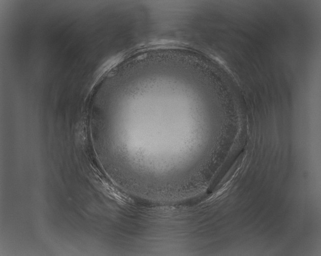 X0000053001405200507081221