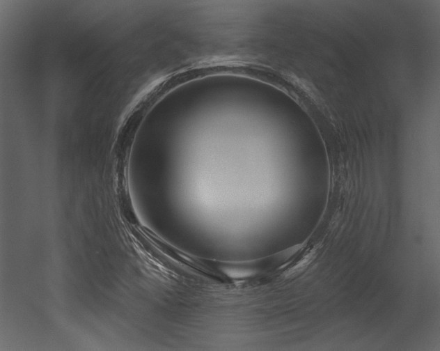 X0000053001406200507081221