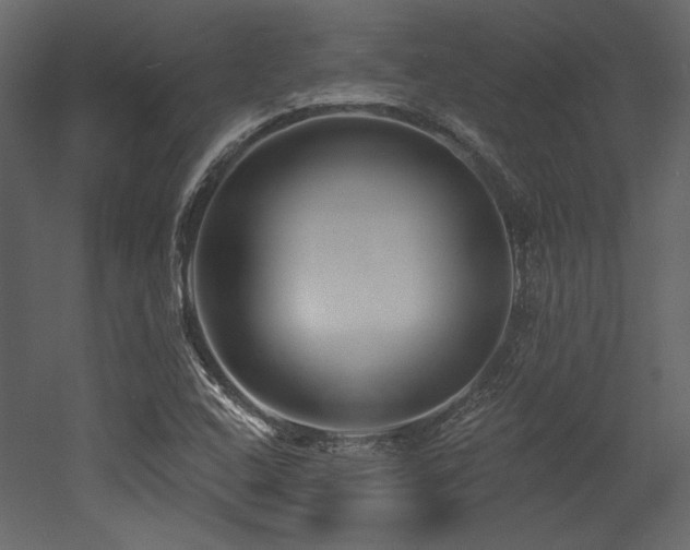X0000053001408200507081221