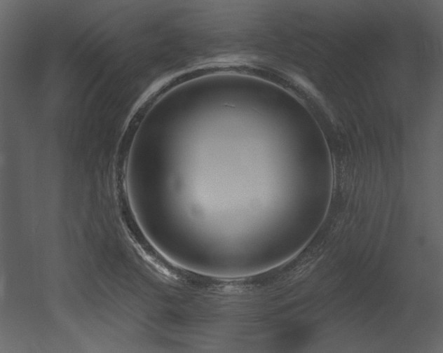 X0000053001412200507081221