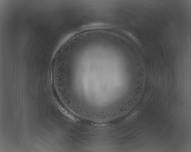 X0000053001413200507081221