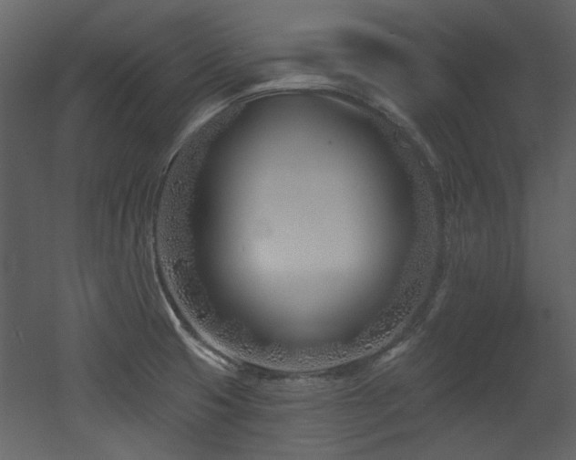 X0000053001425200507081221