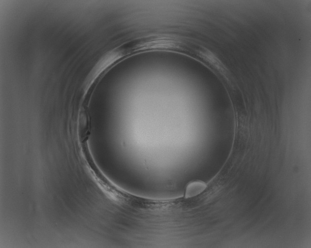 X0000053001426200507081221