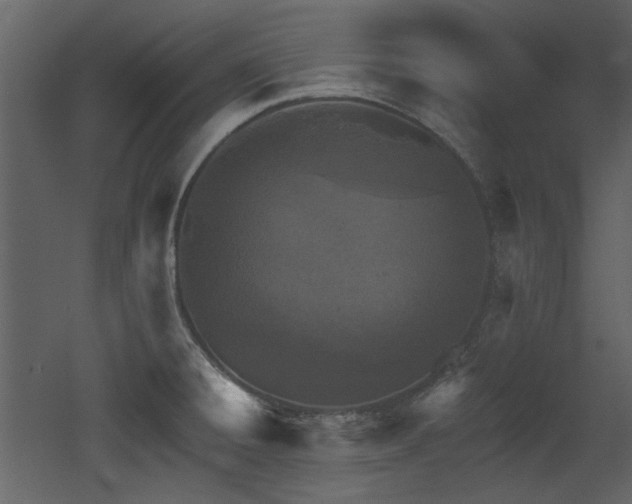 X0000053001428200507081221