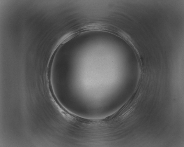 X0000053001434200507081222