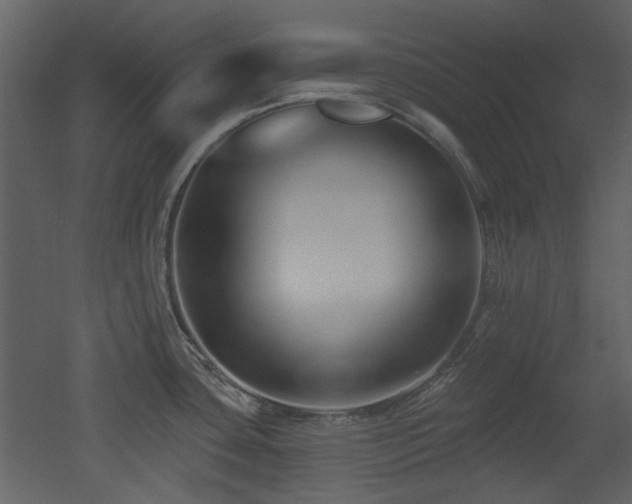 X0000053001435200507081222