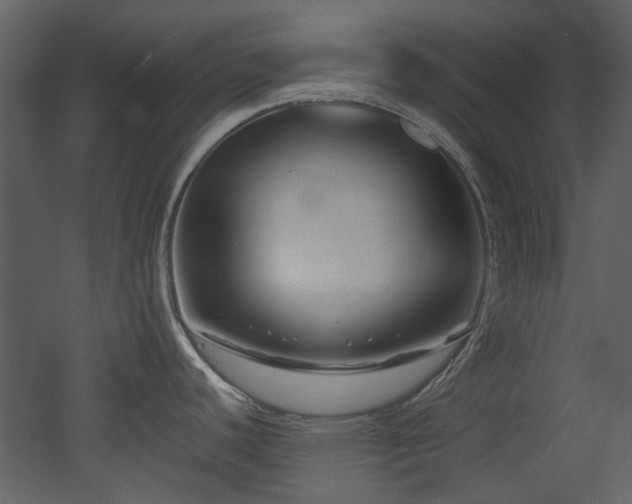 X0000053001440200507081222