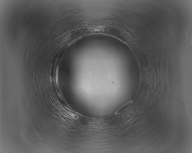 X0000053001442200507081221