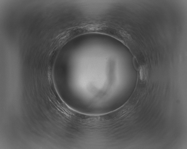 X0000053001444200507081221