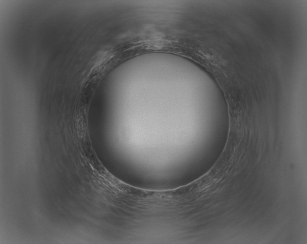 X0000053001446200507081221