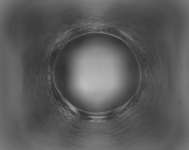 X0000053001447200507081221