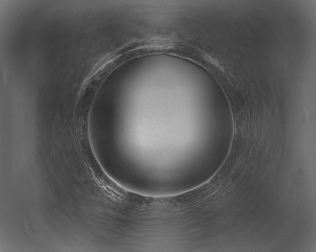 X0000053001448200507081221