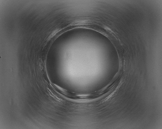 X0000053001449200507081221