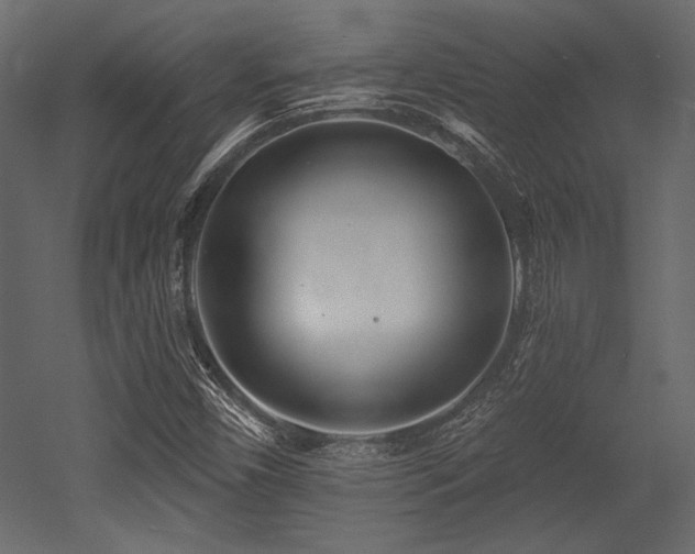 X0000053001450200507081221