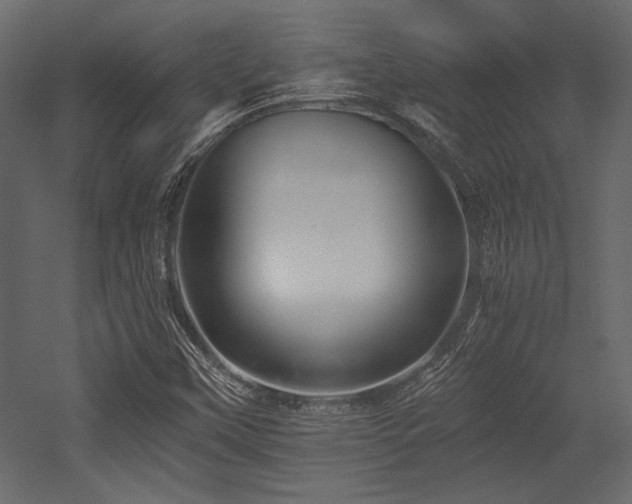 X0000053001451200507081221