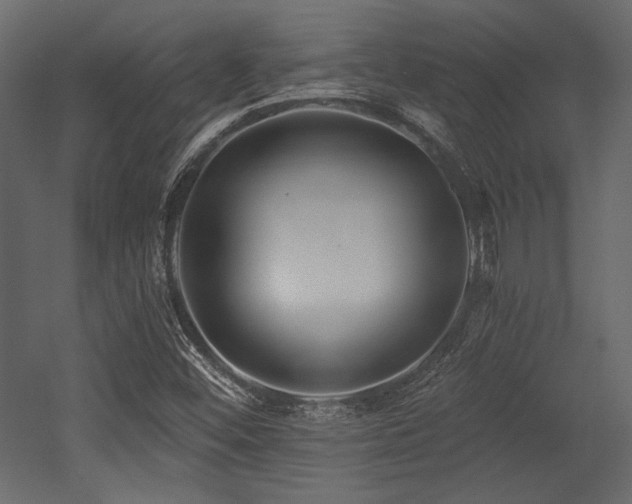 X0000053001452200507081221