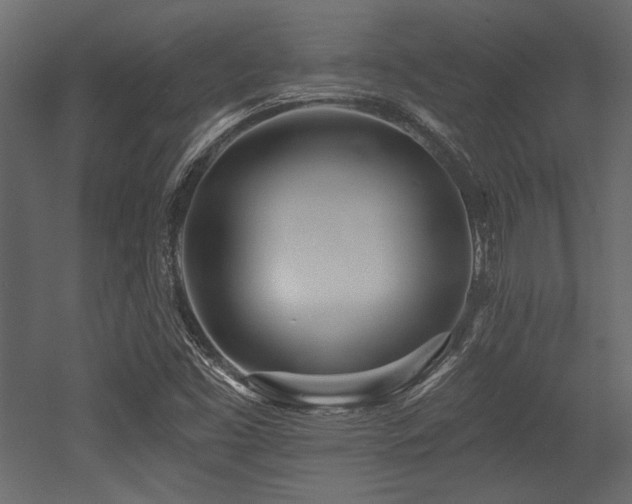 X0000053001453200507081221