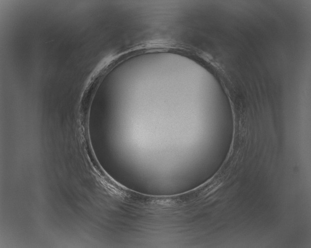 X0000053001454200507081221