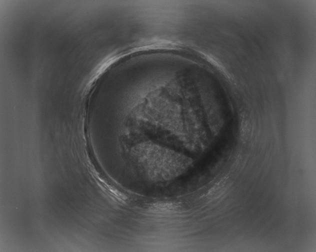 X0000053001455200507081221
