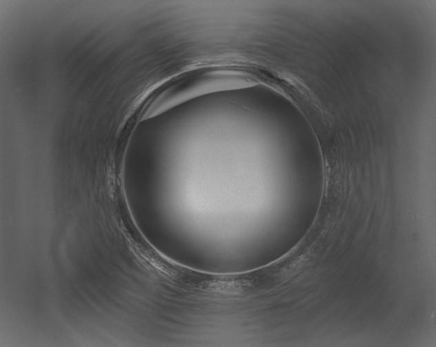 X0000053001457200507081221