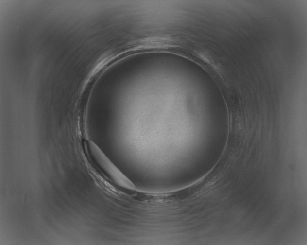 X0000053001459200507081221