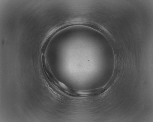 X0000053001461200507081221
