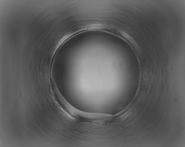 X0000053001473200507081220