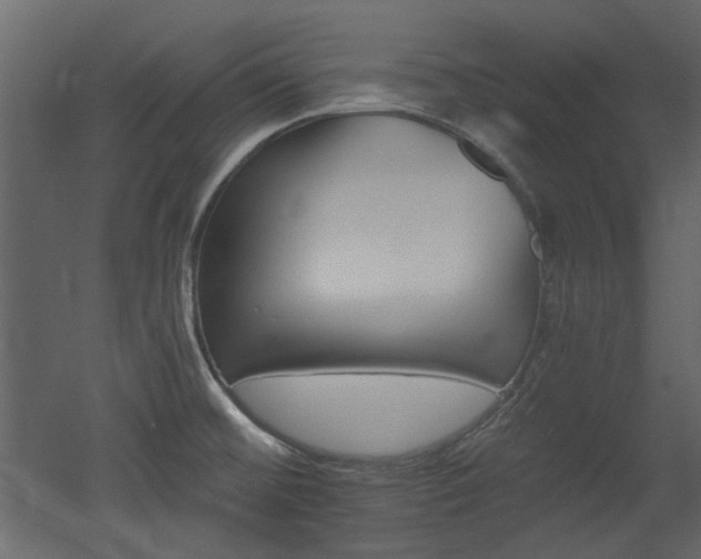 X0000053001476200507081220
