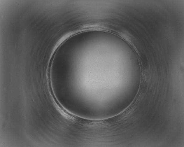 X0000053001482200507081220