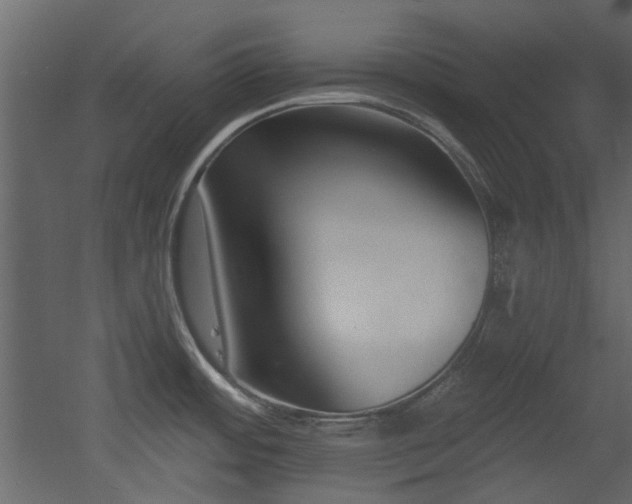 X0000053001484200507081220