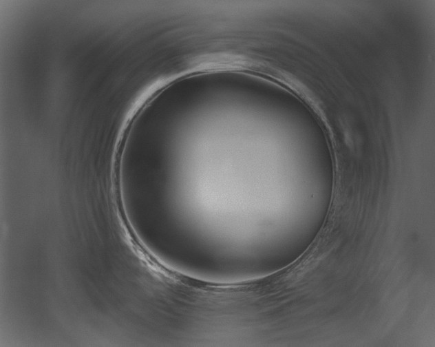 X0000053001488200507081220