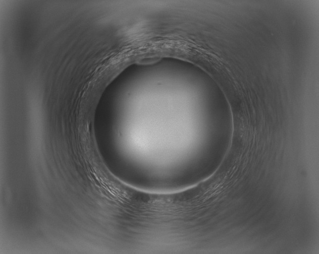 X0000053001489200507081219