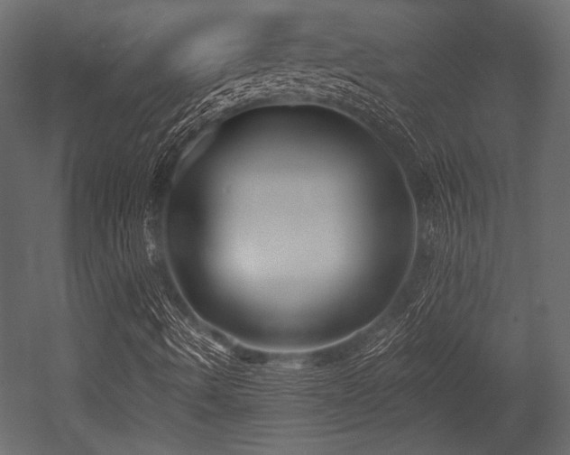 X0000053001490200507081219