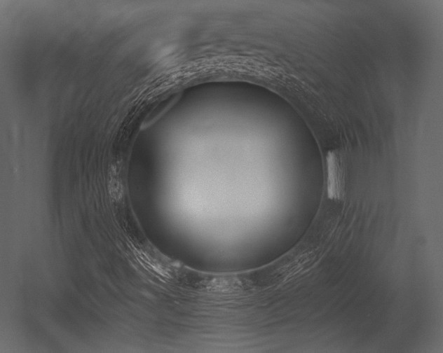 X0000053001491200507081219