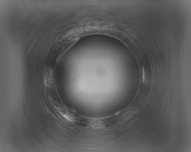 X0000053001492200507081219