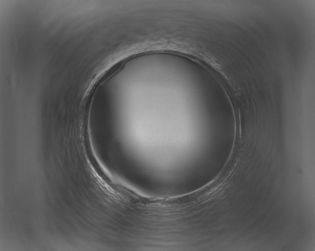 X0000053001500200507081219