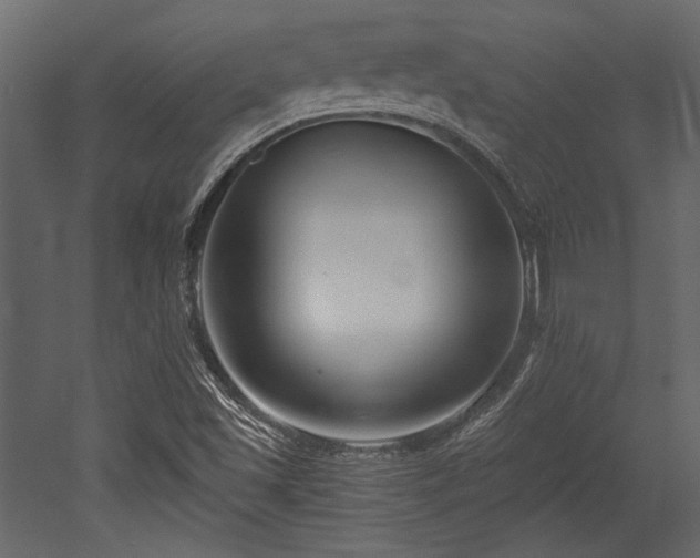 X0000053001501200507081219