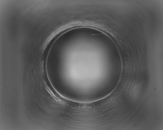 X0000053001503200507081219