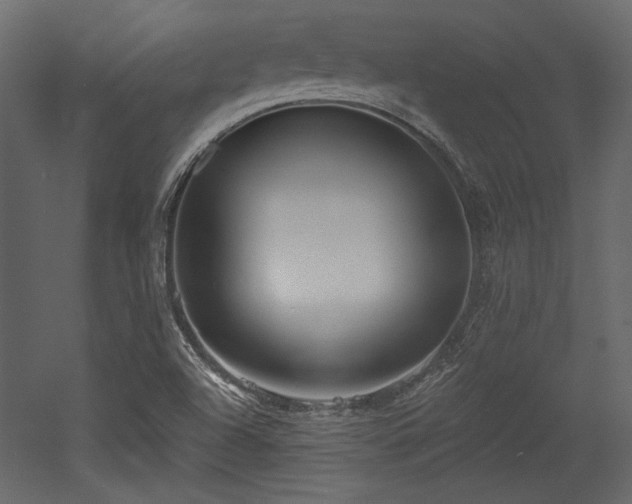 X0000053001504200507081220
