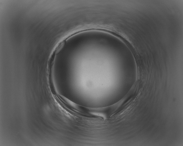 X0000053001508200507081220