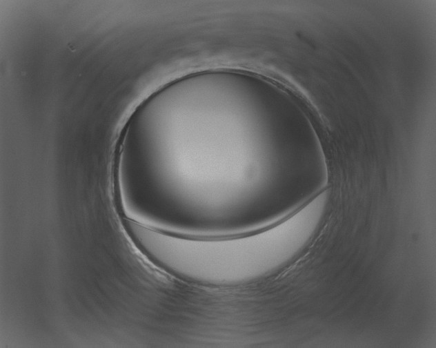 X0000053001512200507081220