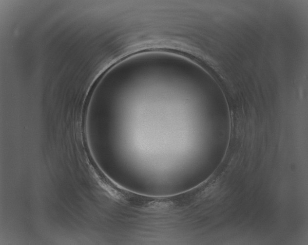 X0000053001513200507081220