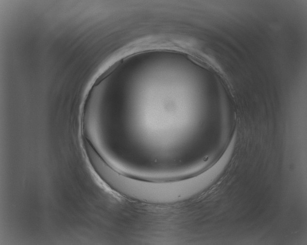 X0000053001528200507081220